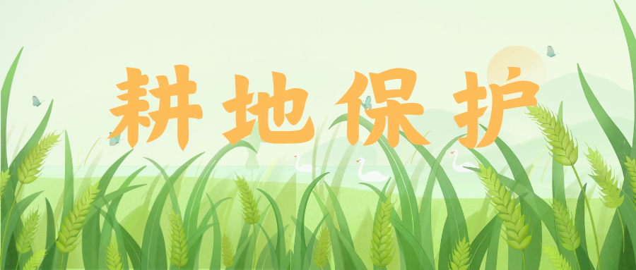 甘肅金昌實施耕地保護網(wǎng)格化管理
