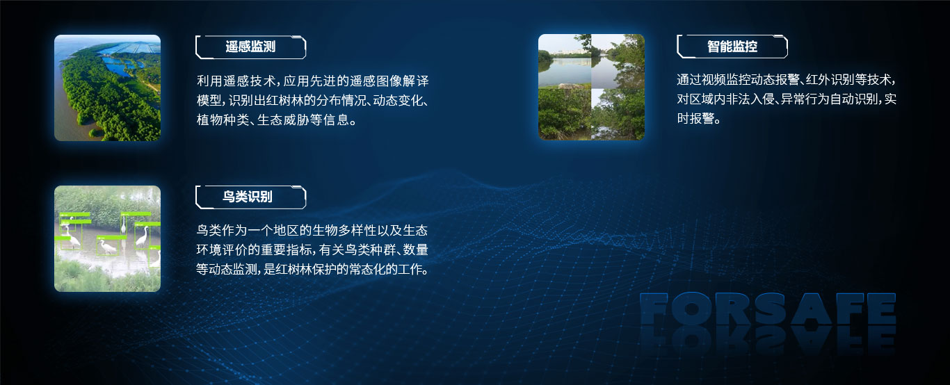 紅樹林資源立體監(jiān)測(cè).jpg